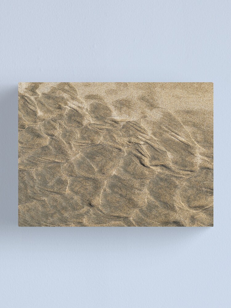 Alternate view of The beach - hippo skin Canvas Print