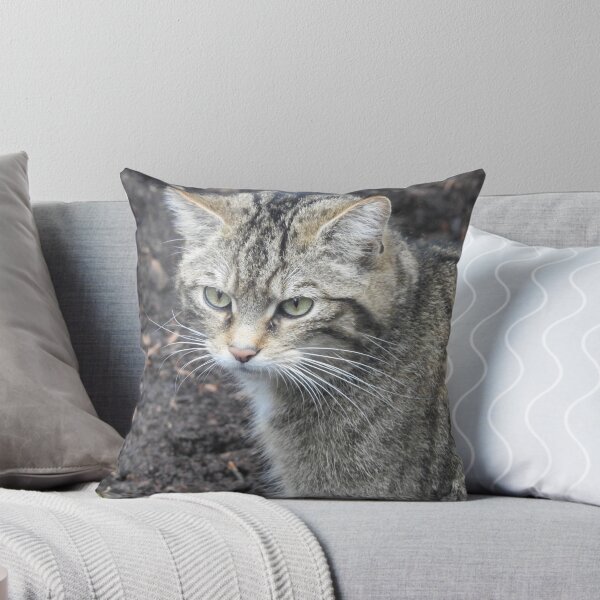 Item preview, Scottish Wildcat designed and sold by wenniewombat.