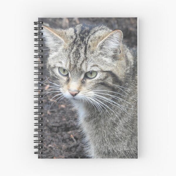 Item preview, Scottish Wildcat designed and sold by wenniewombat.
