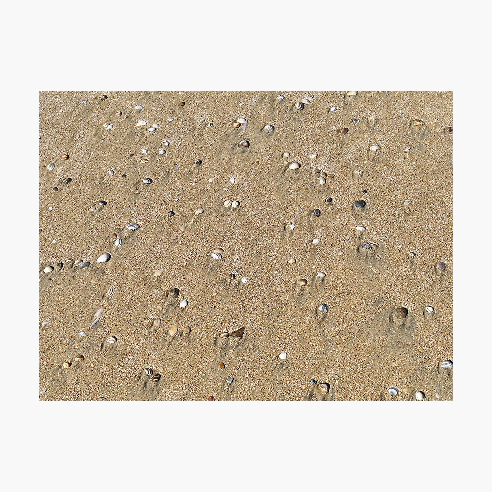 The beach - sand shadows Photographic Print