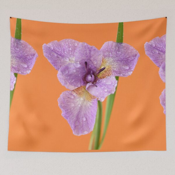 Item preview, Iris designed and sold by Chris Burrows.