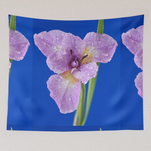 Item preview, Iris designed and sold by Chris Burrows.