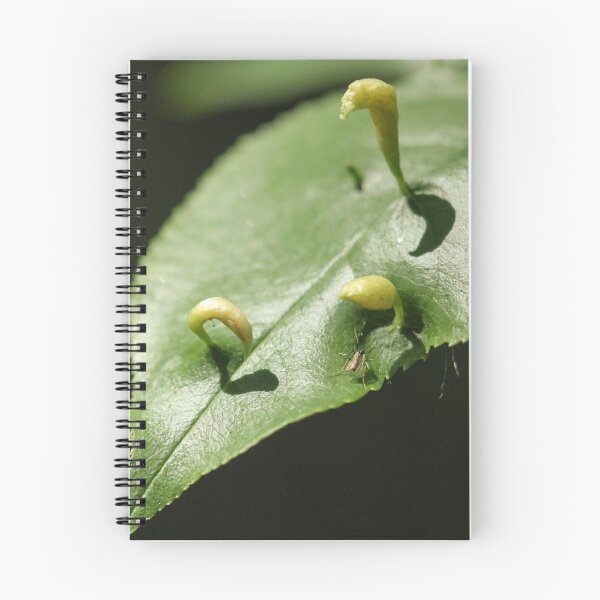Item preview, Leaf with Galls designed and sold by Gary Horner.