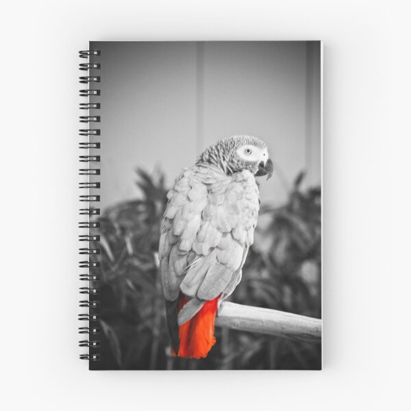 Item preview, African Grey  designed and sold by Jeanie93.