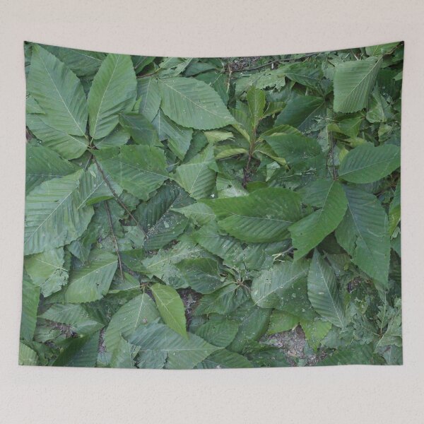 Item preview, Leaves 10 designed and sold by Logan McCarthy.