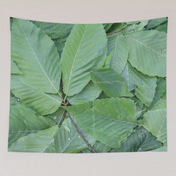 Item preview, Leaves 8 designed and sold by Logan McCarthy.