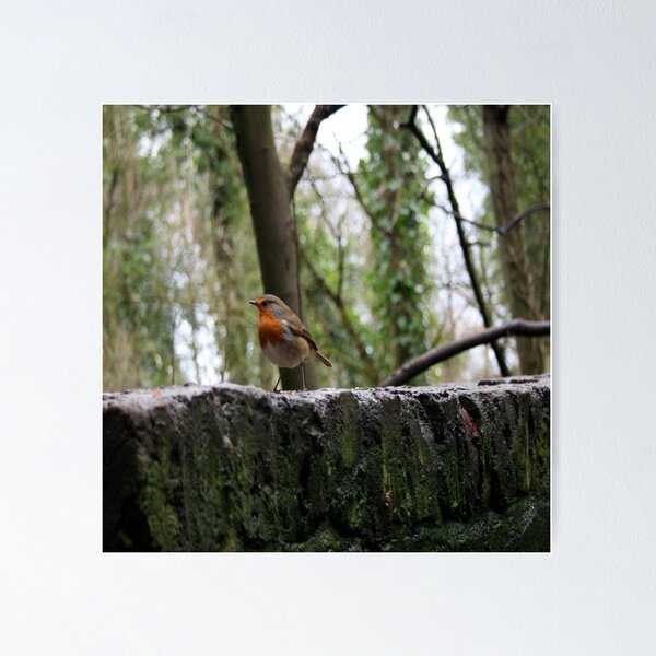 Item preview, Cheeky Robin designed and sold by Merice  Ewart Marshall.