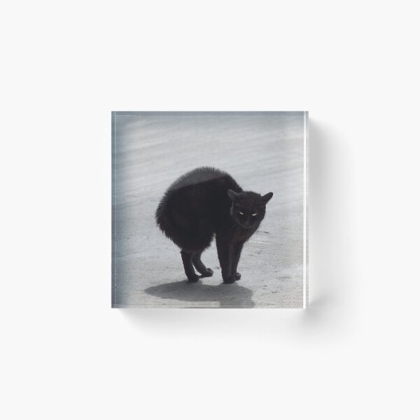 Item preview, Black Cat, Witch’s Familiar designed and sold by Jane McDougall.