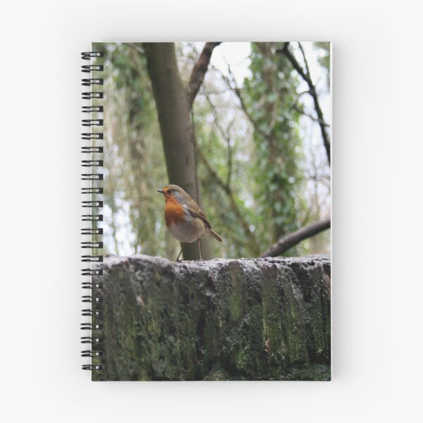 Item preview, Cheeky Robin designed and sold by Merice  Ewart Marshall.