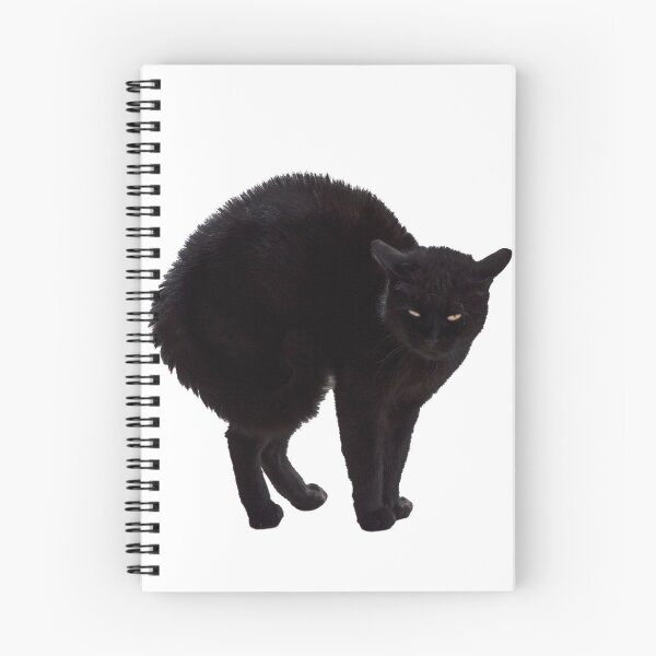 Item preview, Black Cat, Witch’s Familiar Graphic designed and sold by Jane McDougall.