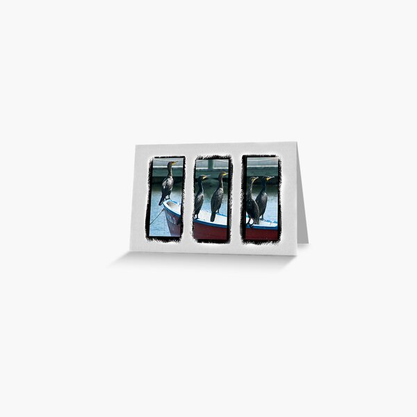 Triptych of Cormorants Greeting Card