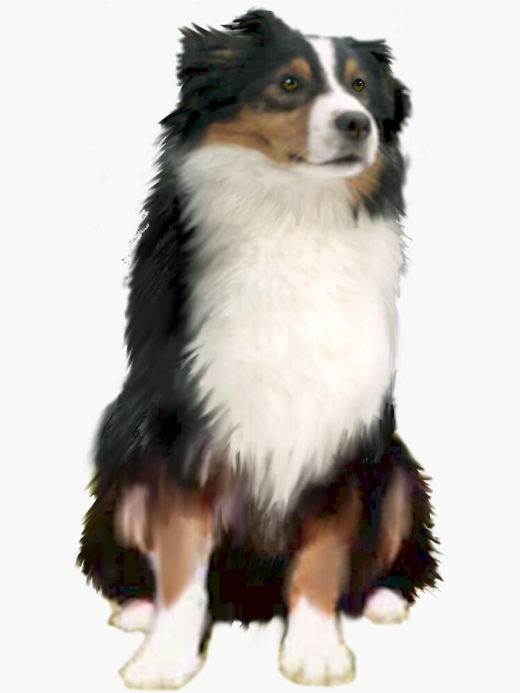Australian Shepherd - Tri Colored by JeanBFitzgerald