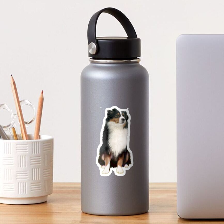 Australian Shepherd - Tri Colored Sticker