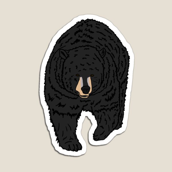 Aperçu de l'œuvre Ours noir américain créée et vendue par GraceT26.