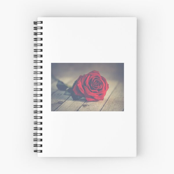 Item preview, rose designed and sold by Burkhard.
