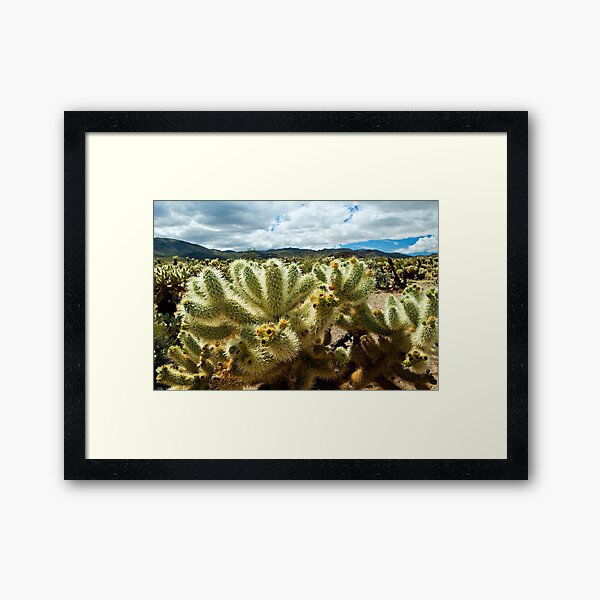Cholla Cactus Framed Art Print