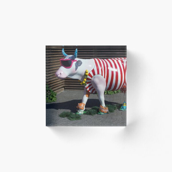 Painted Cow on Holiday - at Floriade Acrylic Block