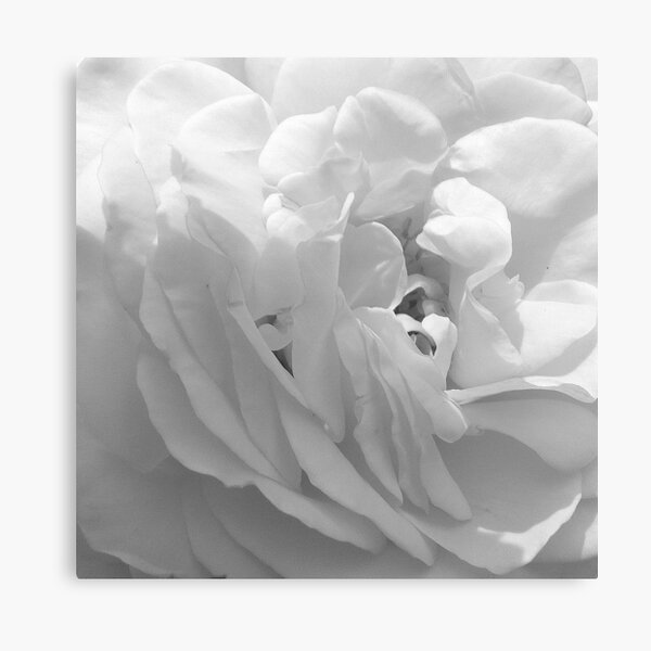 Blanche épure 6 Canvas Print