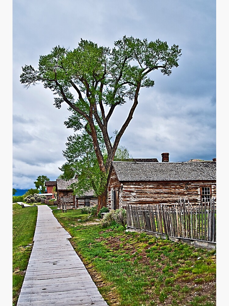 "Main Street, Bannack, Montana, USA" Canvas Print for Sale by