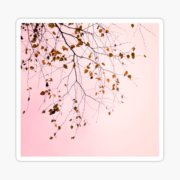 leaves on a pink sky Sticker