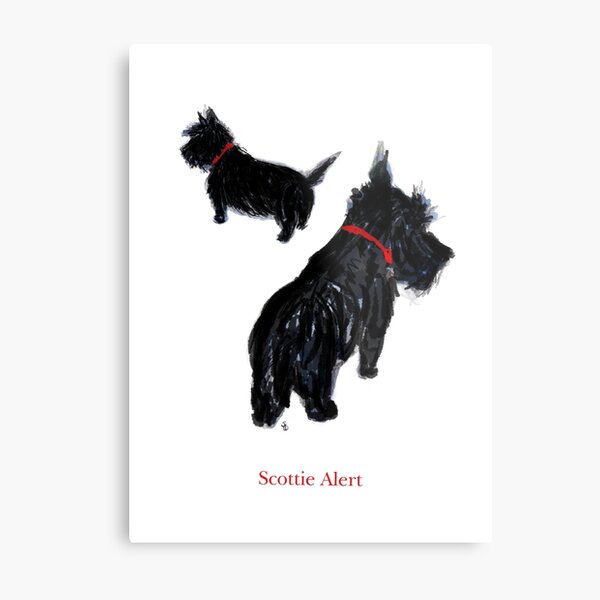 Two Scottie Dogs in "Scottie Alert!" Metal Print