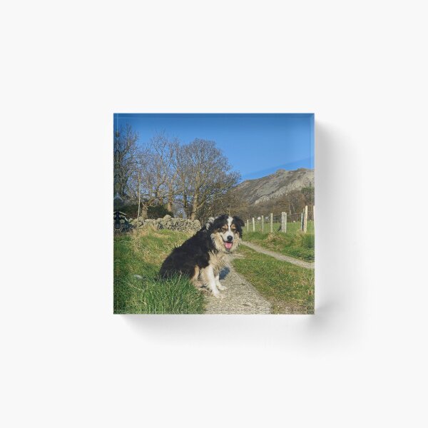 Item preview, Summer in Winter designed and sold by Michael Haslam.