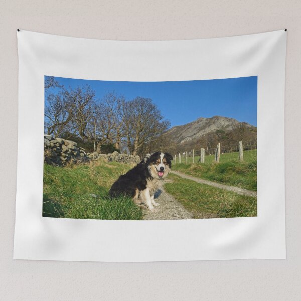 Item preview, Summer in Winter designed and sold by Michael Haslam.