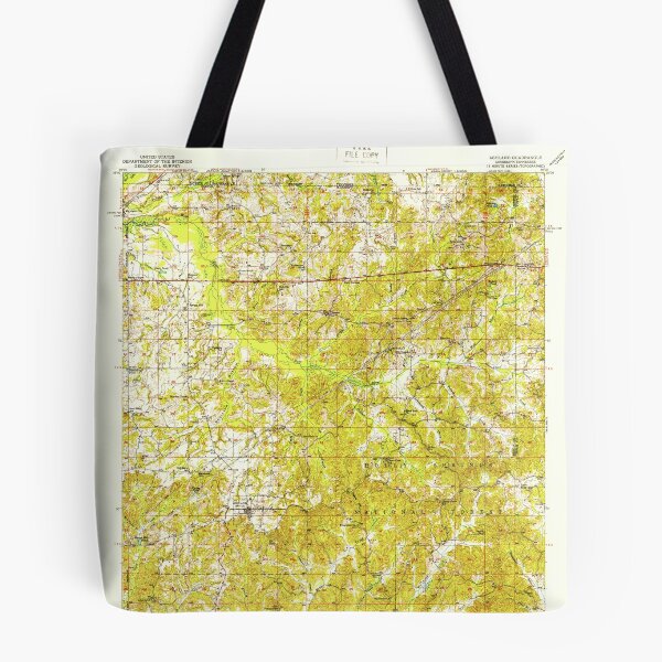 Item preview, USGS TOPO Map Mississippi MS Ashland 336798 1950 62500 designed and sold by WetdryvacRBO2.