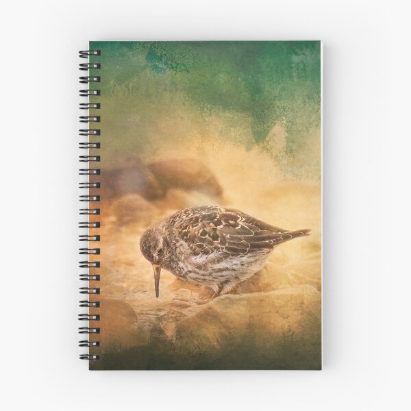 Item preview, Colorful Sandpiper designed and sold by Gbenonys Art.