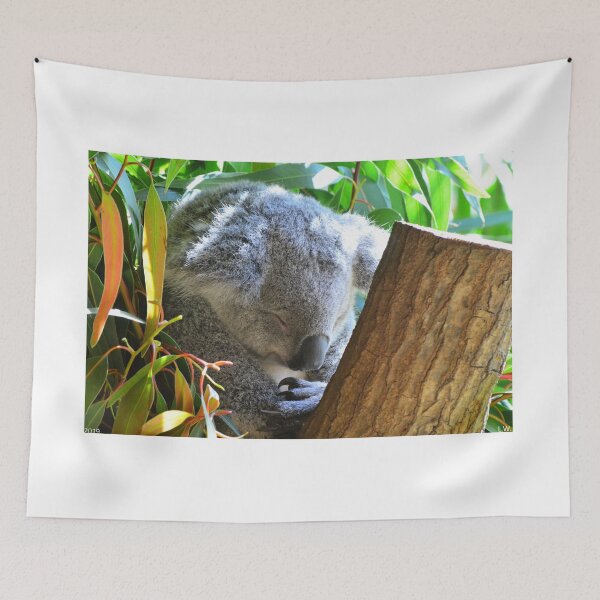 Item preview, Sleeping Koala designed and sold by LisaWootenPhoto.
