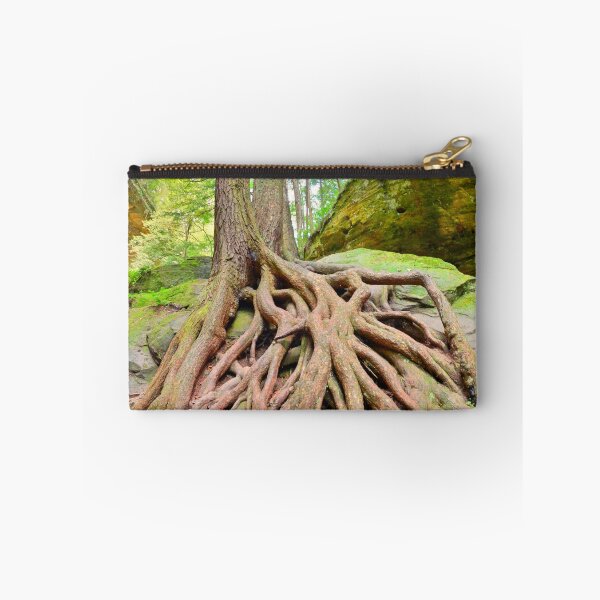 Item preview, ROOTED In GOD'S Word designed and sold by LisaWootenPhoto.