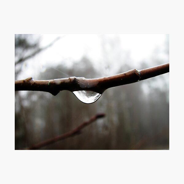 Item preview, First tear of spring designed and sold by Reivil.