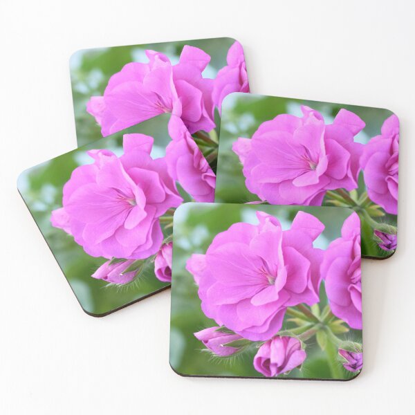 Item preview, Ivy leaf pelargonium Geranium designed and sold by Chris Burrows.
