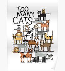 Too Many Cats Poster