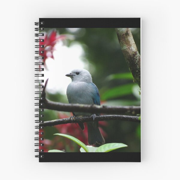 Item preview, Blue-Gray Tanager designed and sold by AudreyMolenda.