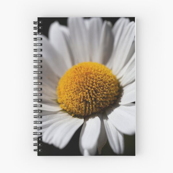Item preview, oxeye daisy designed and sold by codaimages.