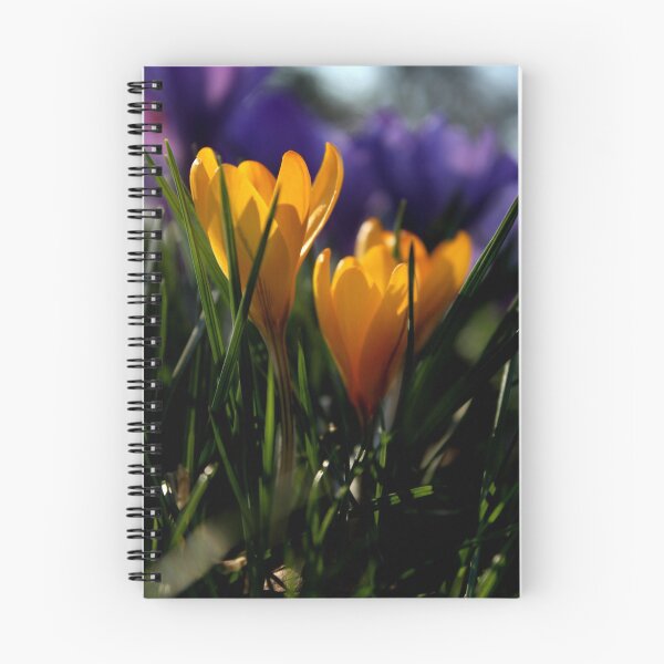 Item preview, Yellow Crocus designed and sold by Martin Ingley.