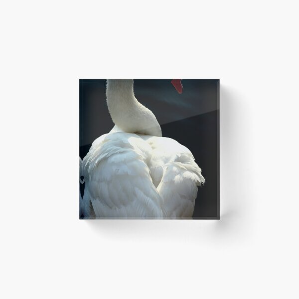 Item preview, Swan designed and sold by Martin Ingley.