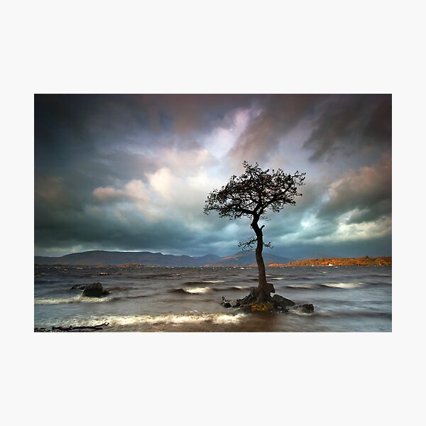 Item preview, The Tree designed and sold by Jeanie.