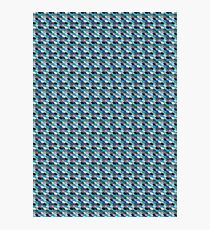 Fish scale Photographic Print