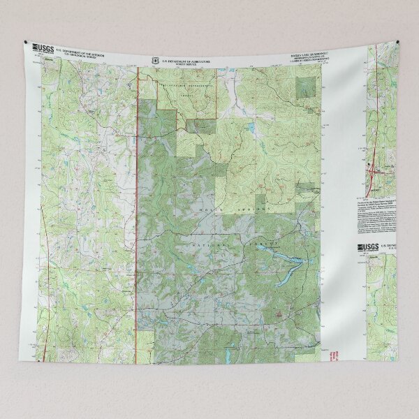Item preview, USGS TOPO Map Mississippi MS Bagley Lake 335267 2000 24000 designed and sold by WetdryvacRBO2.