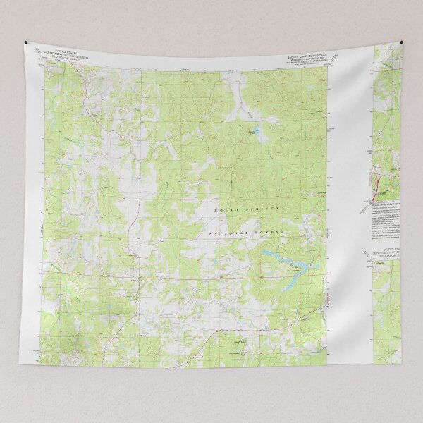 Item preview, USGS TOPO Map Mississippi MS Bagley Lake 335268 1980 24000 designed and sold by WetdryvacRBO2.