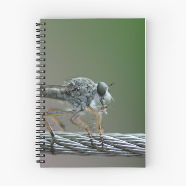 Item preview, Touch Down designed and sold by Joy Watson - Natural Light Photography .