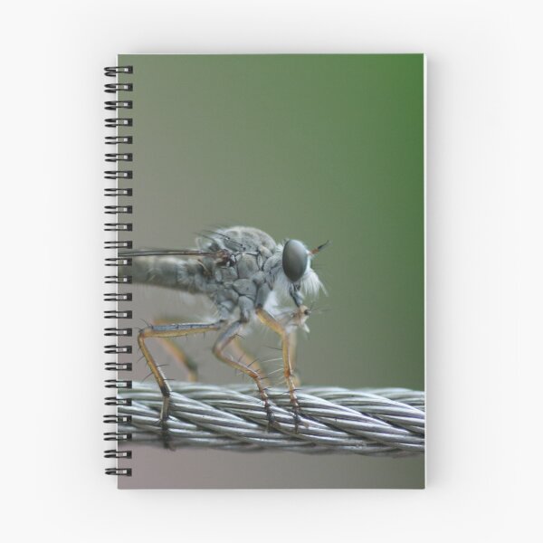 Item preview, Touch Down designed and sold by Joy Watson - Natural Light Photography .
