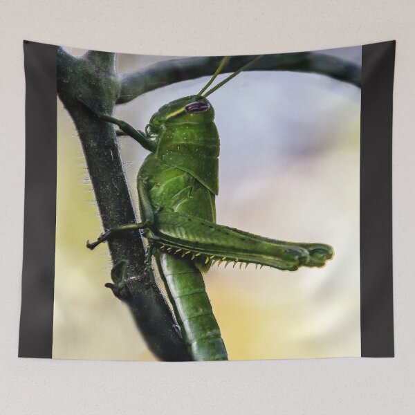 Item preview, Green Hopper designed and sold by heatherfriedman.