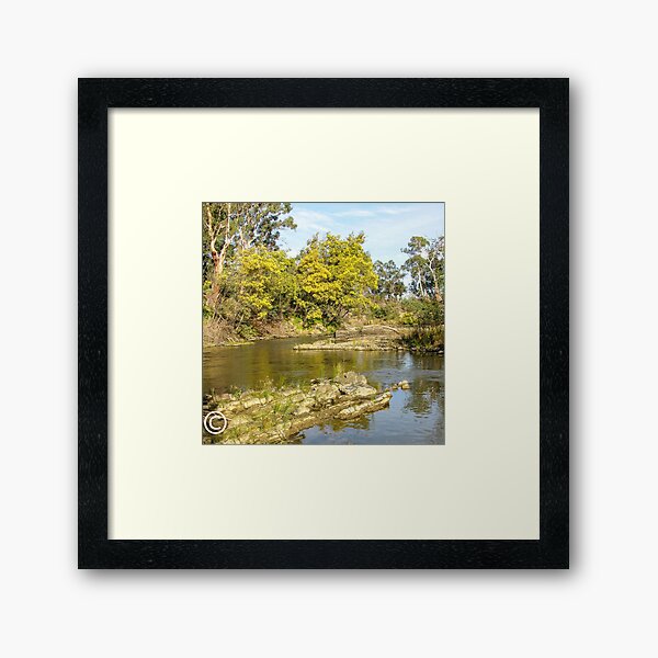 Item preview, Spring on the Yarra designed and sold by DPalmer.