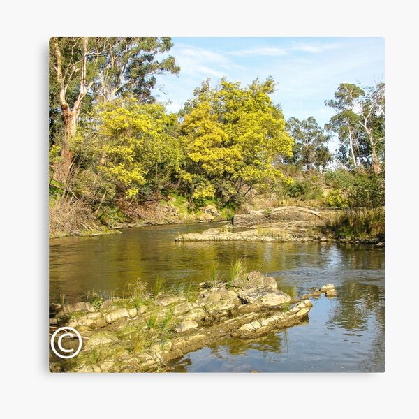 Item preview, Spring on the Yarra designed and sold by DPalmer.