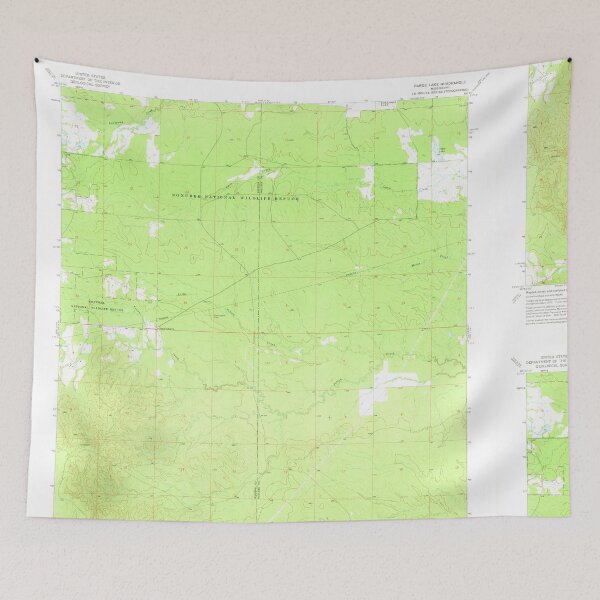 Item preview, USGS TOPO Map Mississippi MS Barge Lake 335279 1973 24000 designed and sold by WetdryvacRBO2.