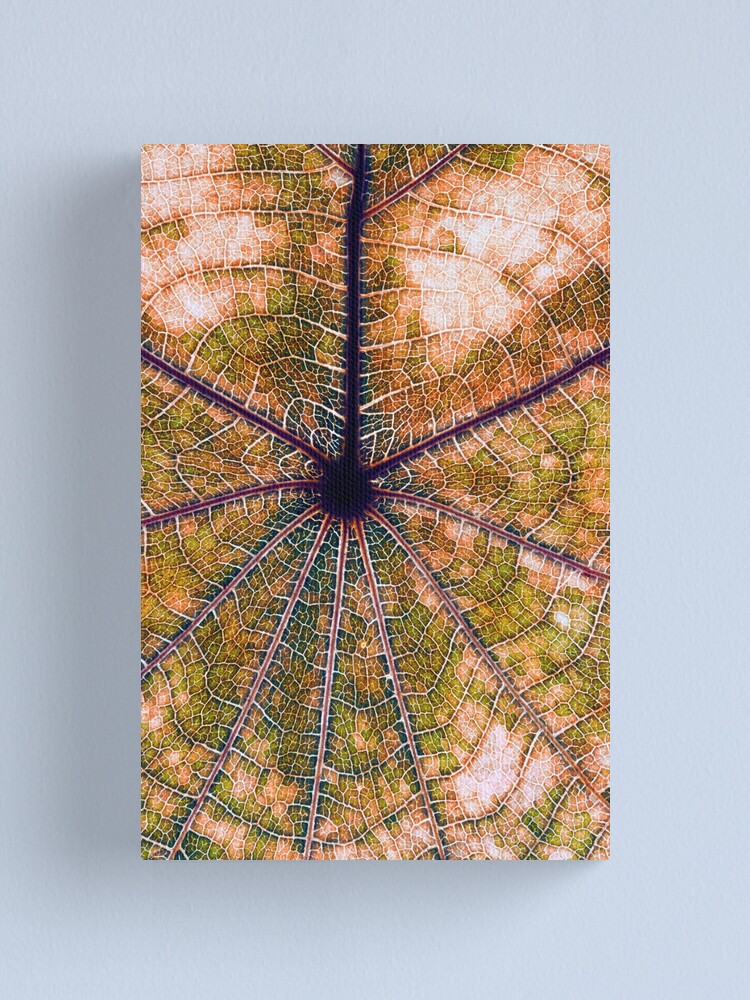 Alternate view of Leaf structure Canvas Print