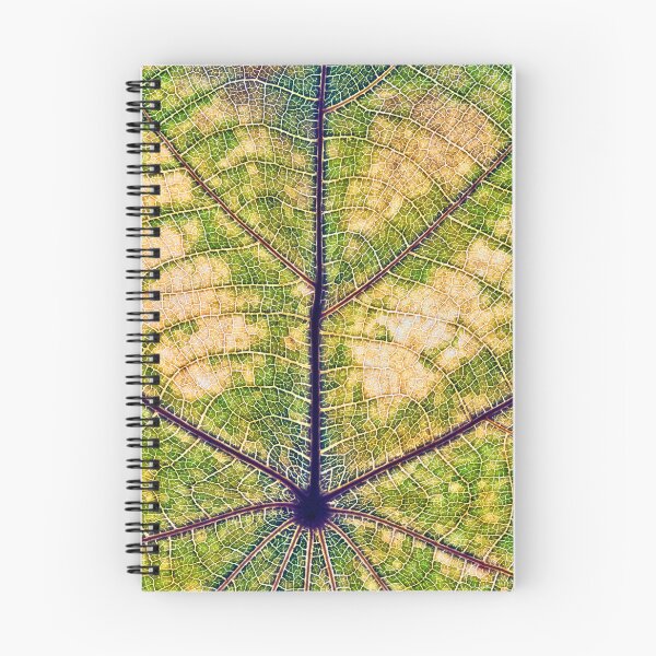 Item preview, Leaf structure macro designed and sold by fardad.